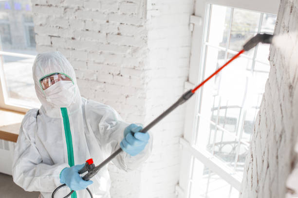 Best Post-Construction Mold Inspection  in Harper Woods, MI