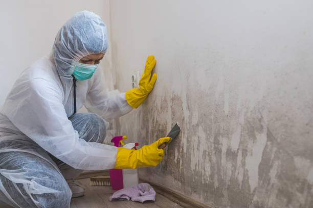 Best Air Quality Testing for Mold Spores  in Harper Woods, MI