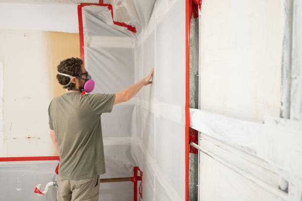Best Emergency Mold Remediation  in Harper Woods, MI