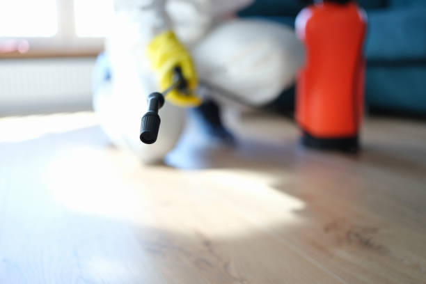 Best Crawl Space Mold Remediation  in Harper Woods, MI