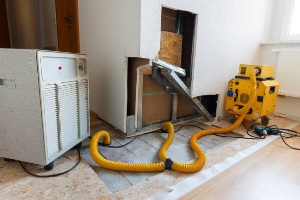 Best Air Quality Testing for Mold Spores  in Harper Woods, MI