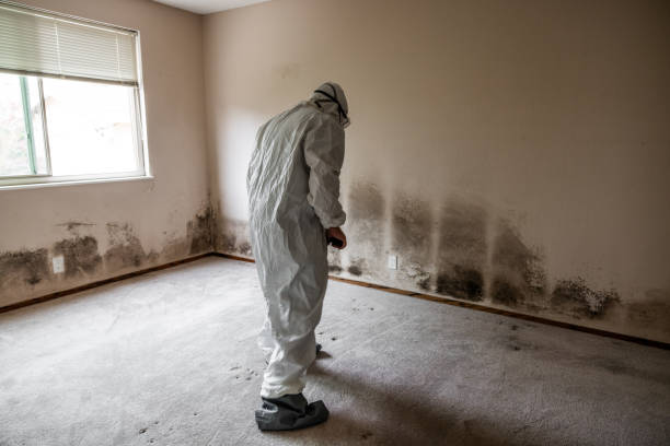 Best HVAC Mold Inspection and Cleaning  in Harper Woods, MI
